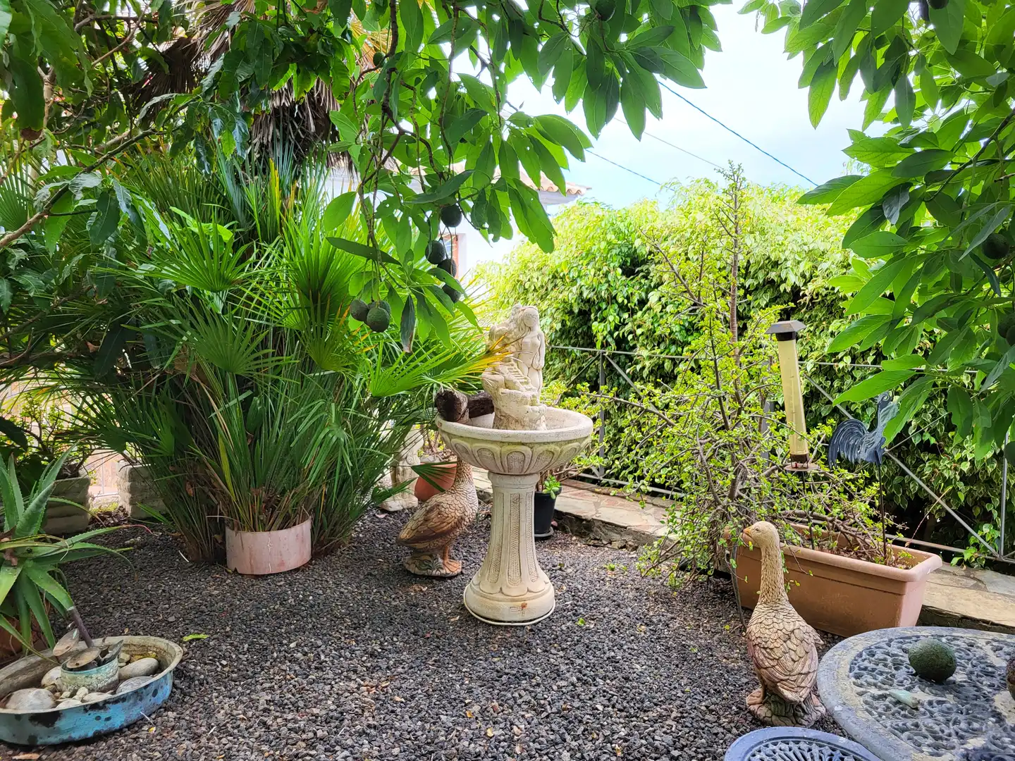 Haus mit Terrasse zum Verkauf in La Victoria de Acentejo, imagen 42