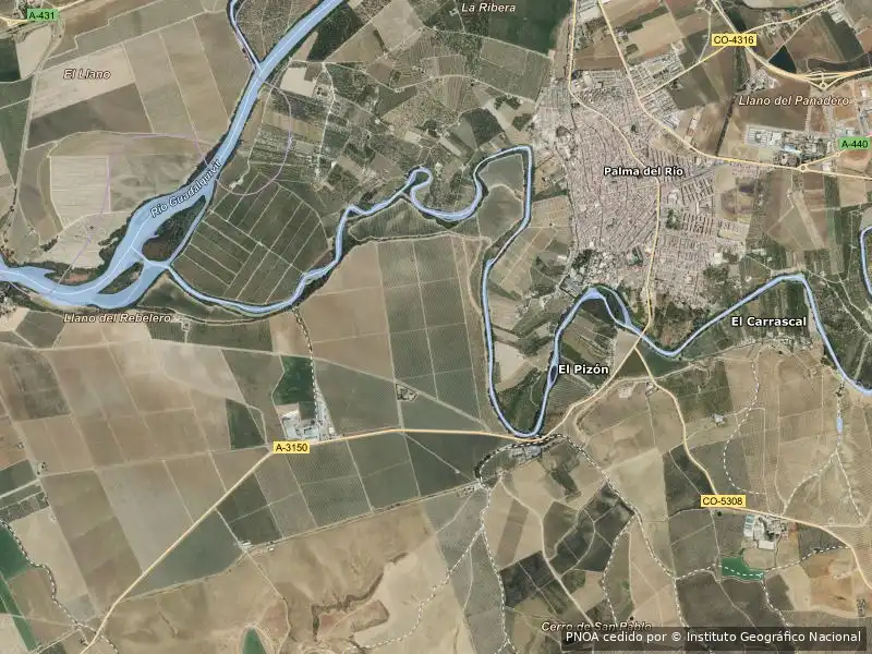 Appartamento in vendita a Palma del Río, imagen 6