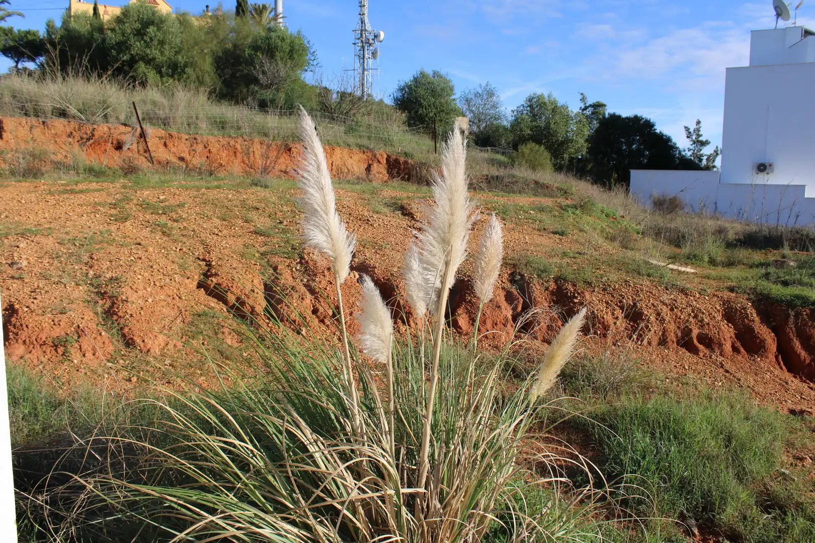 Terreni e lotti in vendita a Ayamonte ciudad, imagen 13