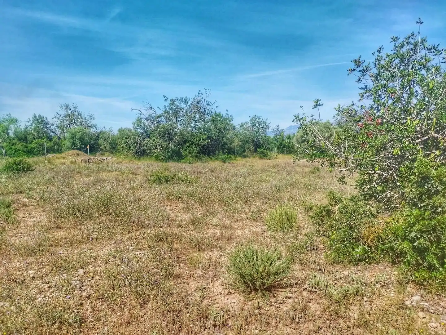 Terrain rustique à vendre à Roquetes, imagen 14