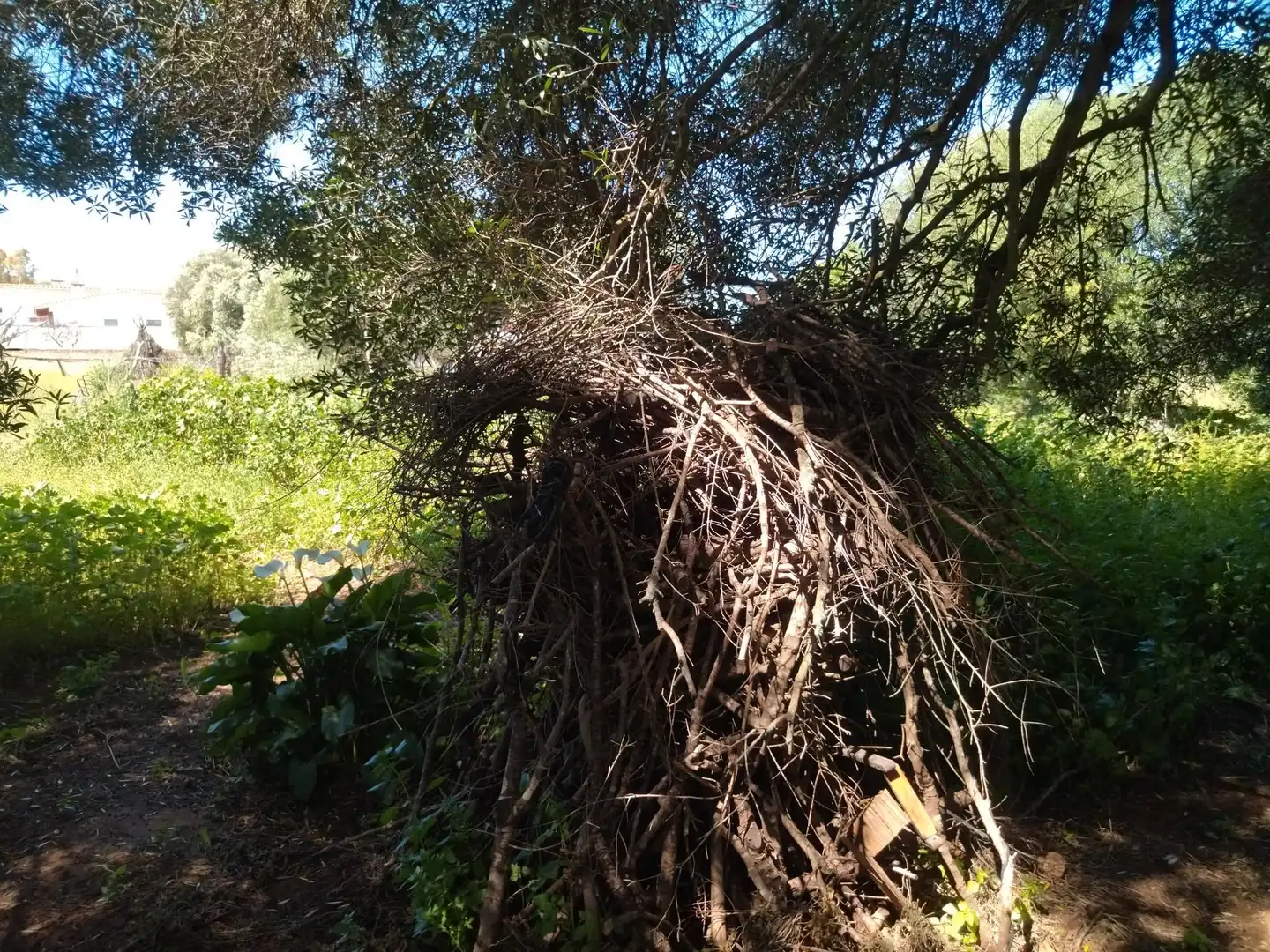 Casa rústica amb jardí en venda a N/A, imagen 17