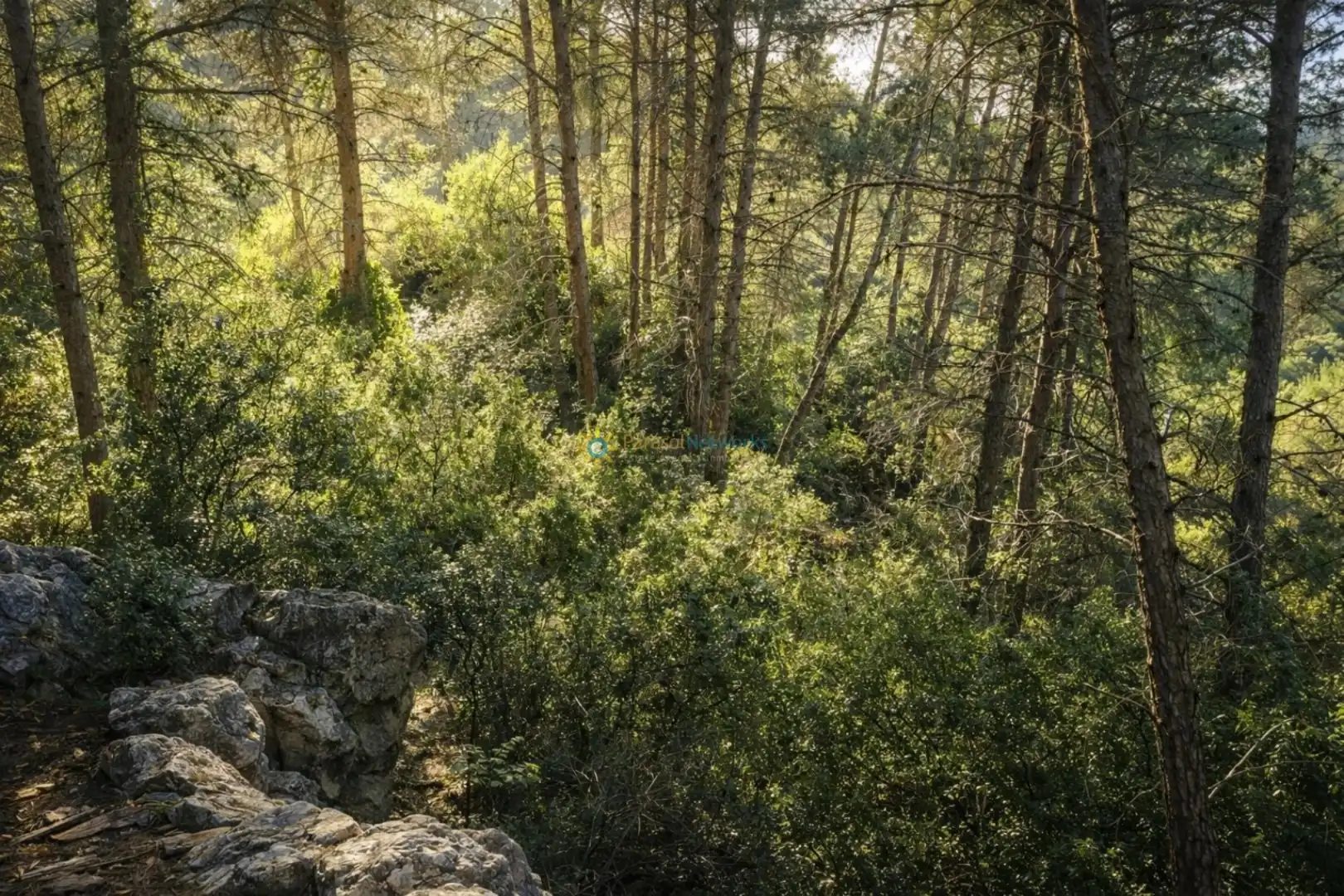 Jardí de Finca rústica en venda en Muro de Alcoy amb Jardí privat, Terrassa i Traster