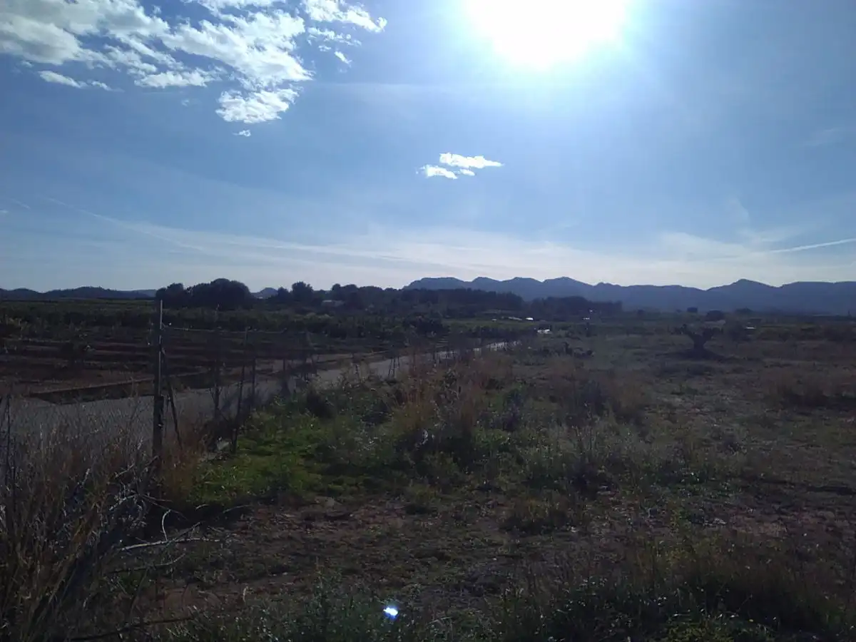 Terreno rústico en venta en Alfara de la Baronia, imagen 12