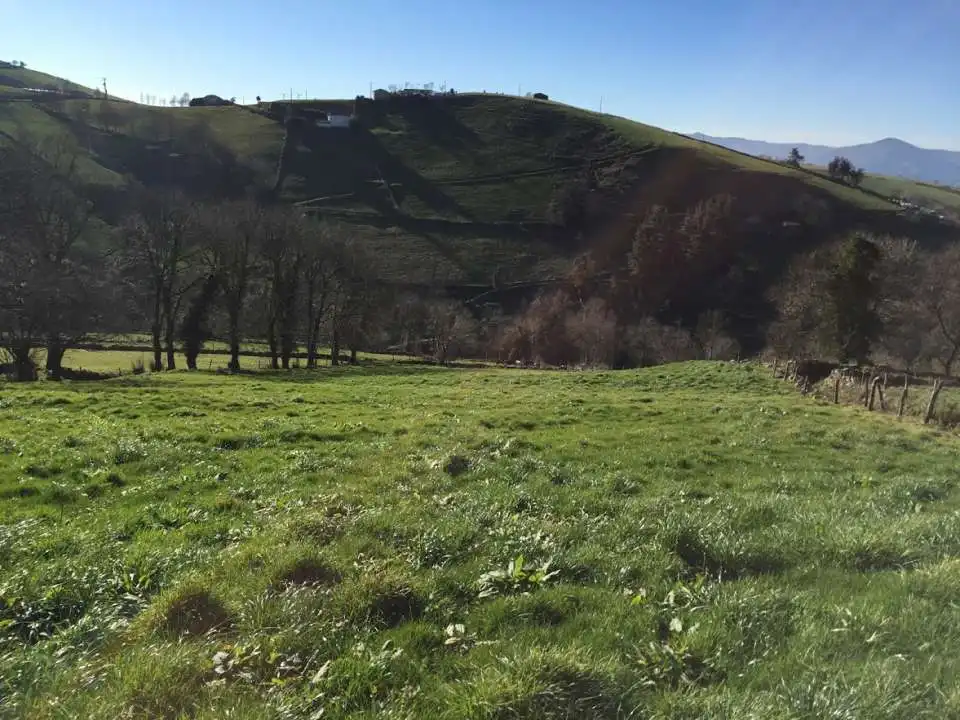 Casa o xalet en venda en Tineo amb Jardí privat i Traster