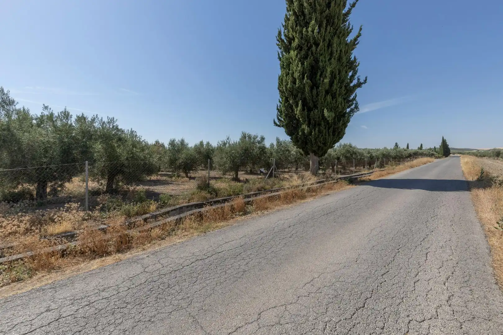 Lands and plots for sale in DISEMINADOS, imagen 25