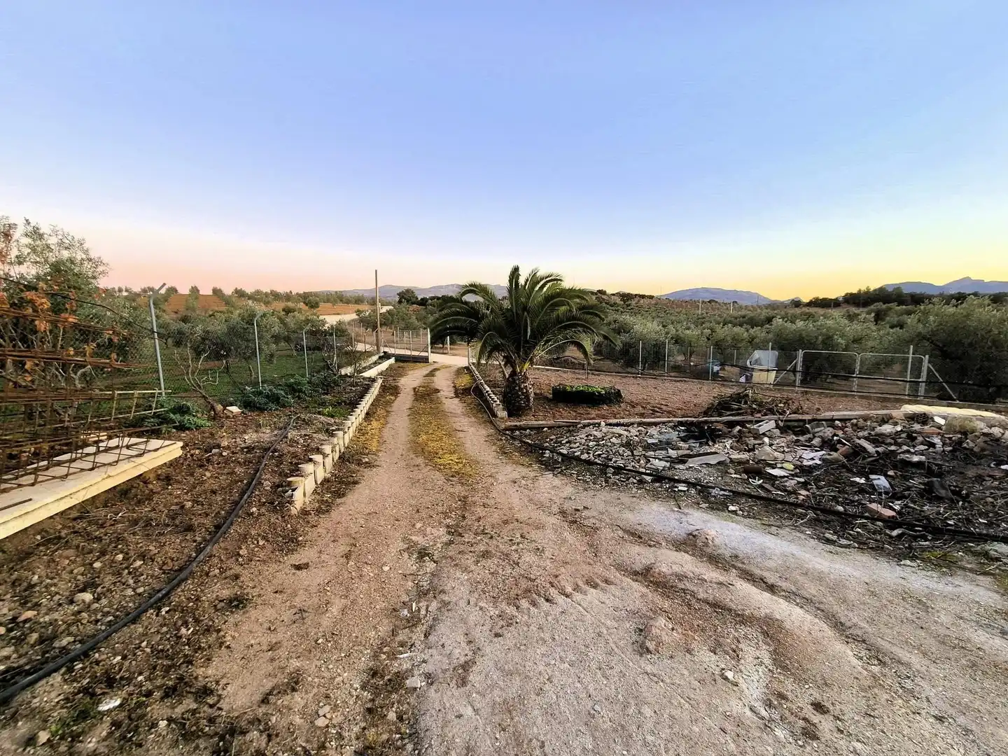 Casa de campo en Dehesa de los montes Loja, immagine 2