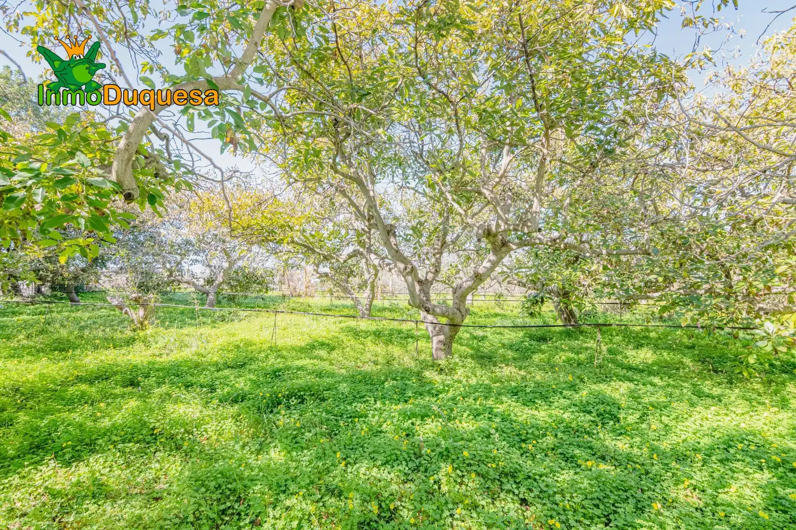Detached house with pool for sale in Los Tablones - La Garnatilla, imagen 61