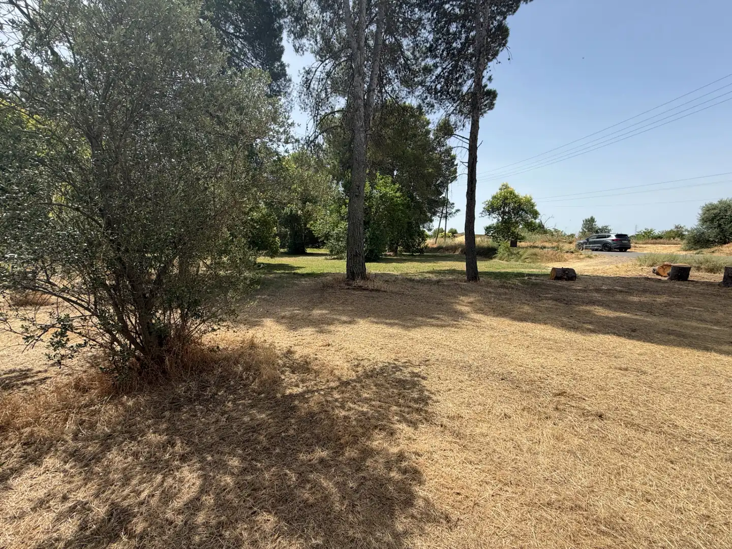 Residencial en venda a Camí de Lleida, 14, Els Alamús