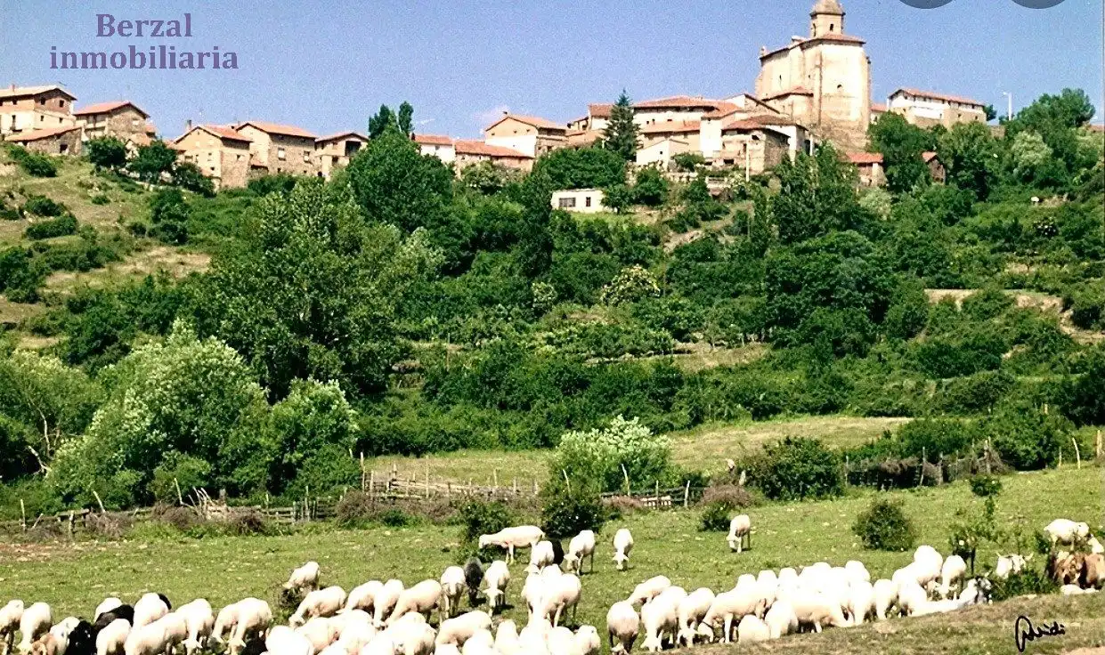 Vista exterior de Finca rústica en venta en Muro En Cameros