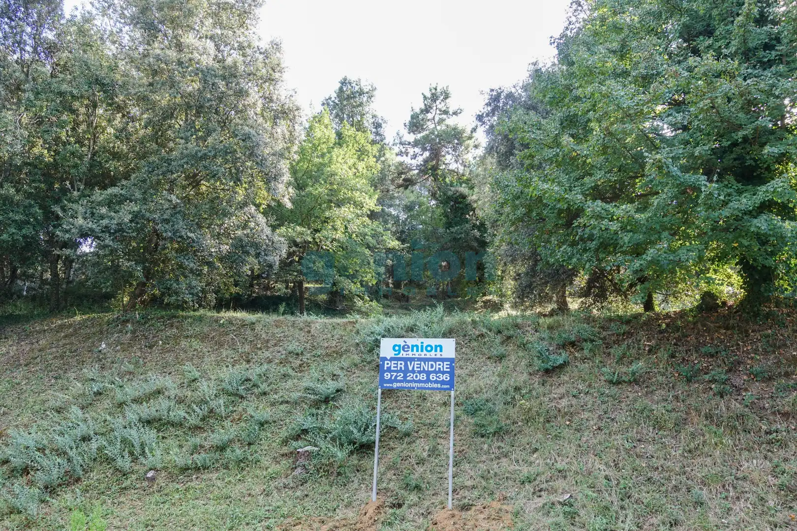 Terreno residenziale in vendita a Diseminado Afueras