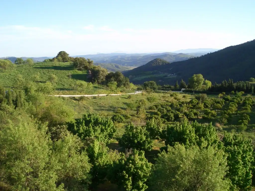 Casa rústica en venda a Gaucín, imagen 104