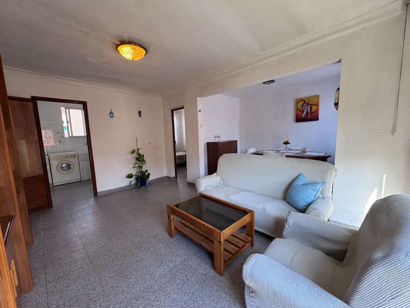 Sala de estar de Piso en venta en Castellón de la Plana / Castelló de la Plana con Jardín privado, Amueblado y Balcón