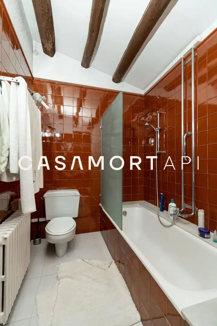 House with terrace for sale in MAJOR, imagen 49