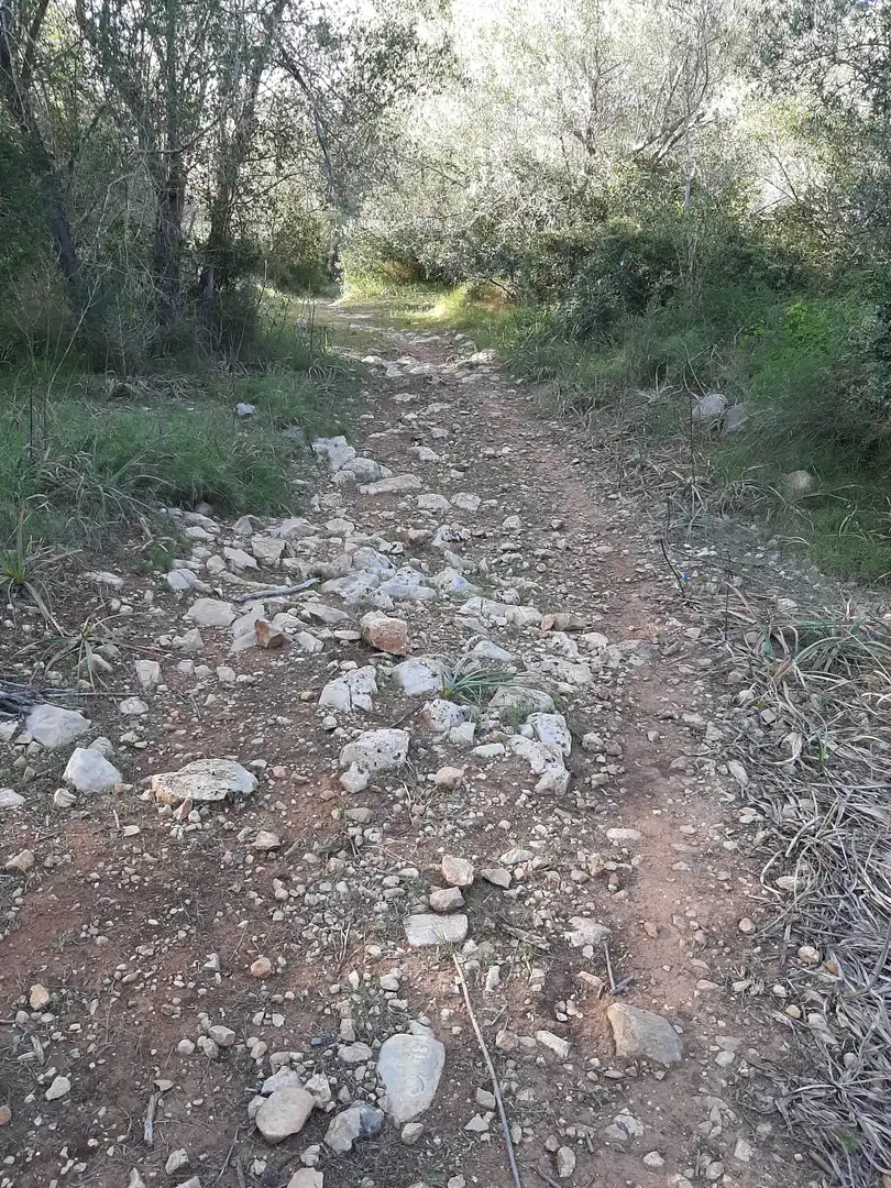 Terrain rustique à vendre à Sant Joan, imagen 19