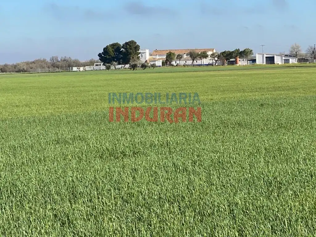 Casa rústica en venta en Avenida Castilla La Mancha