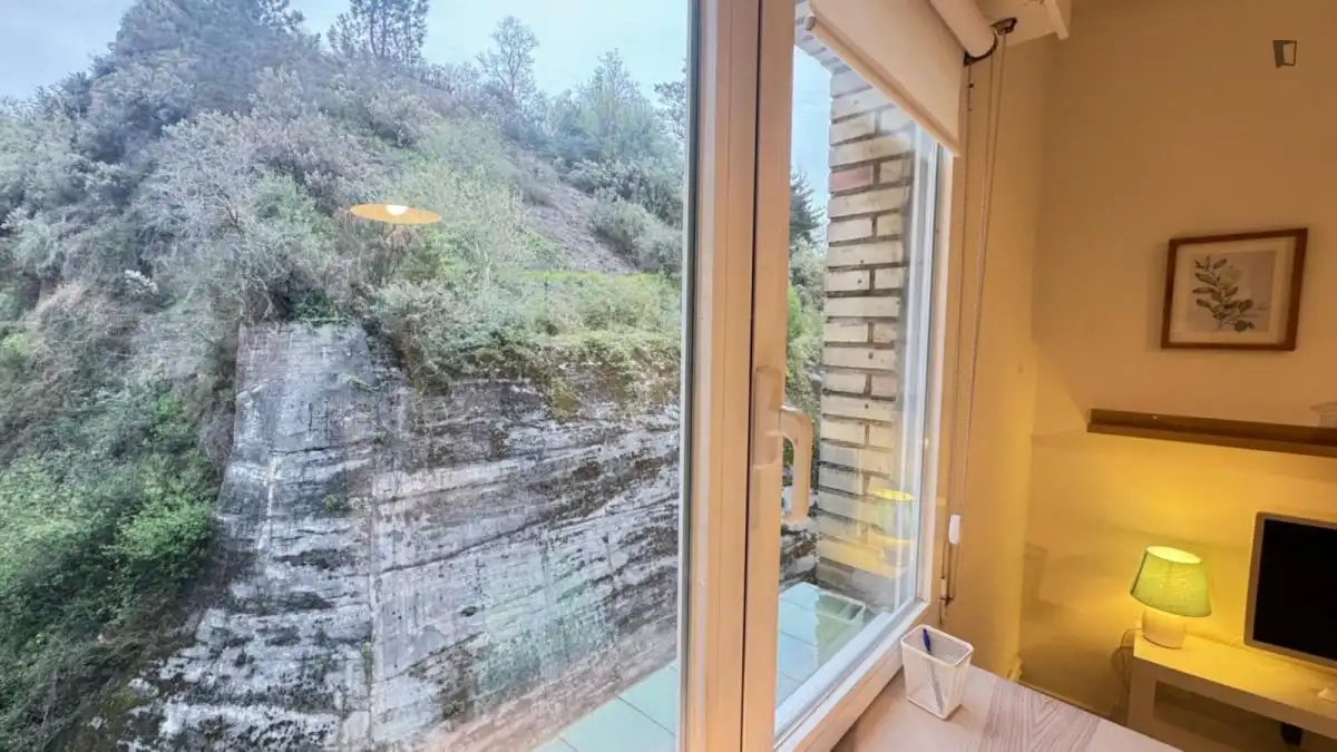Terraza de Apartamento para compartir en Bilbao  con Amueblado, Horno y Lavadora