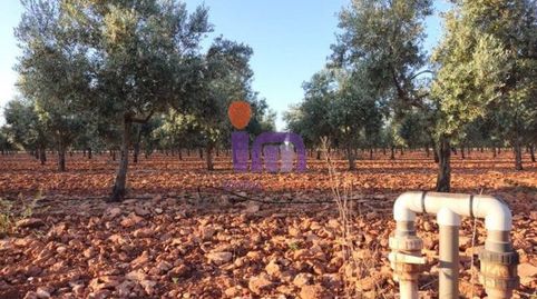 Finca Rúst. en venta en Moral De Calatrava., imatge 5