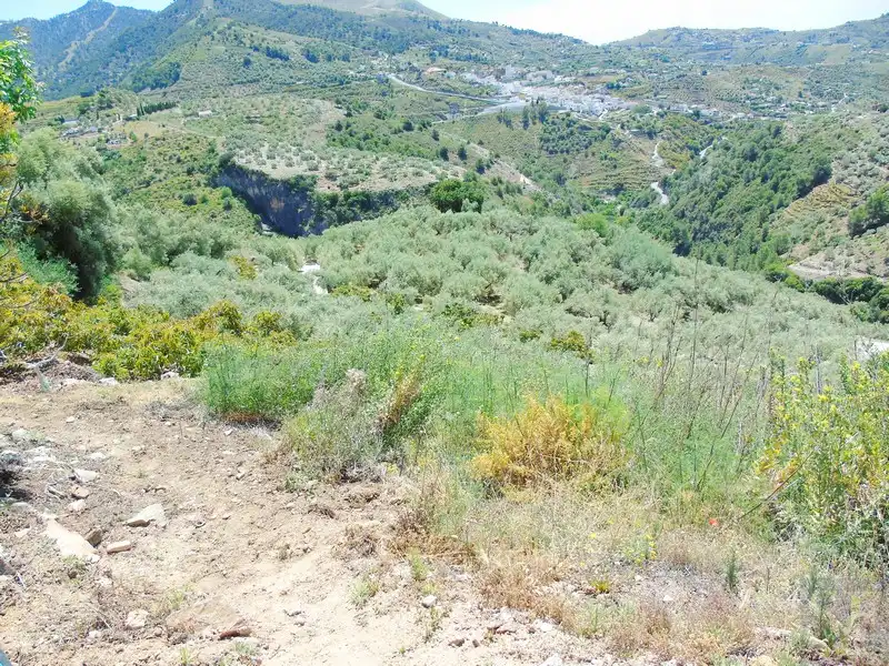 Casa rústica en venda a Canillas de Albaida, imagen 10