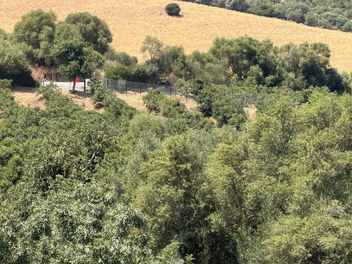 Finca rústica en venda en Gaucín amb Jardí privat, Terrassa i Piscina
