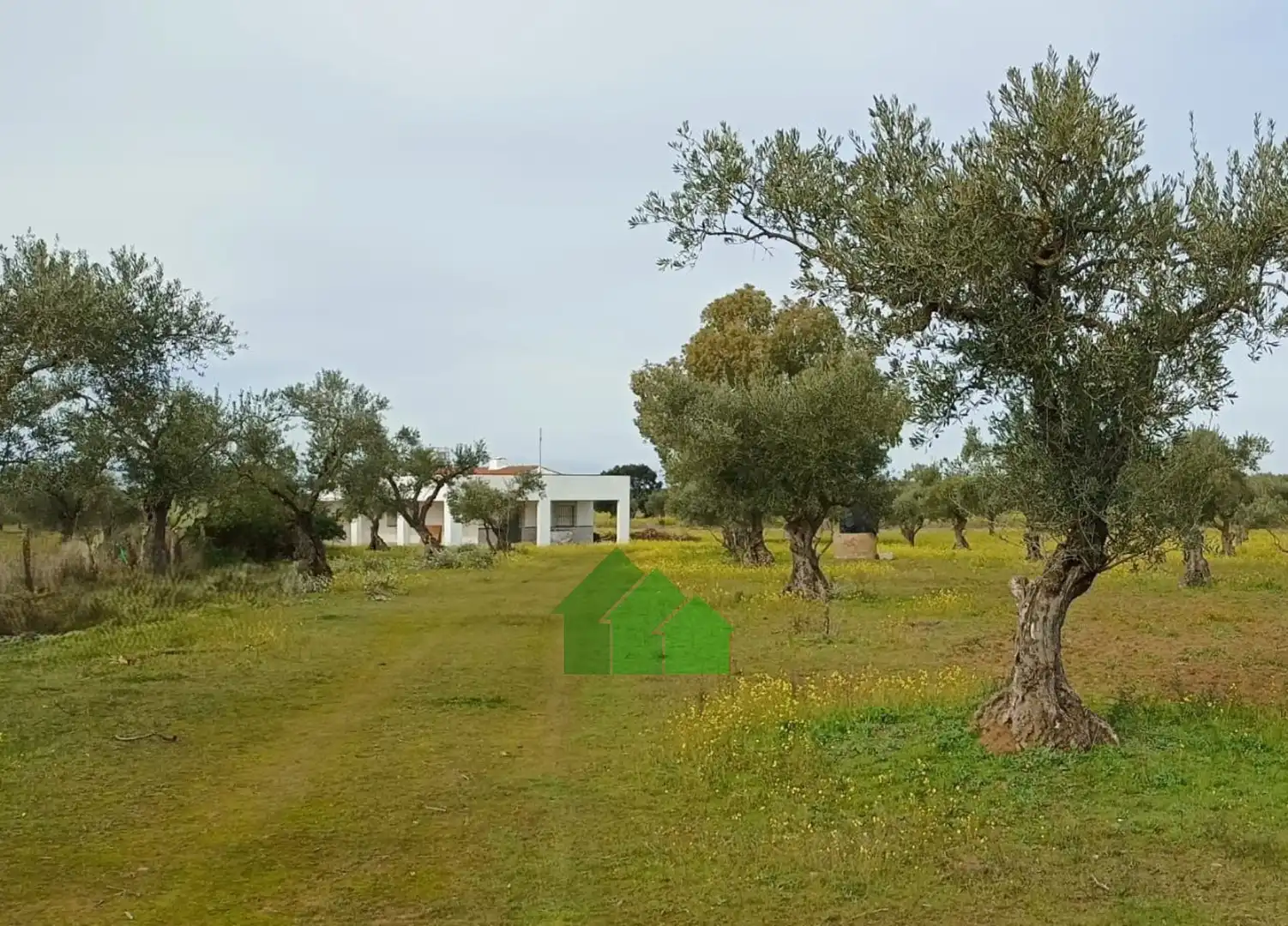 Chalet en venta en Montijo, imagen 2