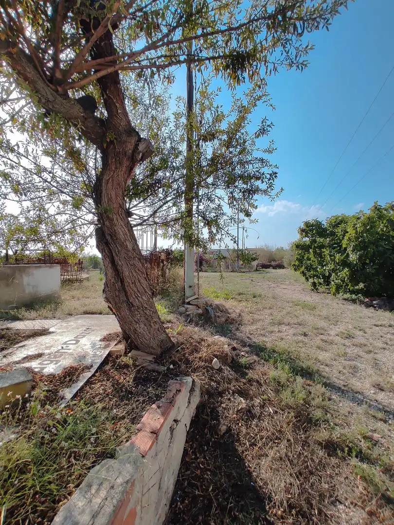 Detached house with pool for sale in Partidas de interior - Zona Rústica, imagen 17
