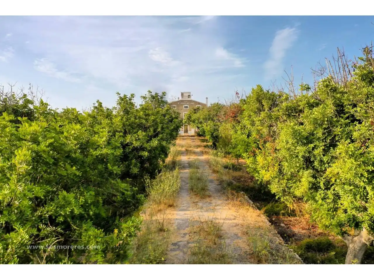 Terreno rustico in vendita a Calle finca Santa Rosa de Lima, imagen 47