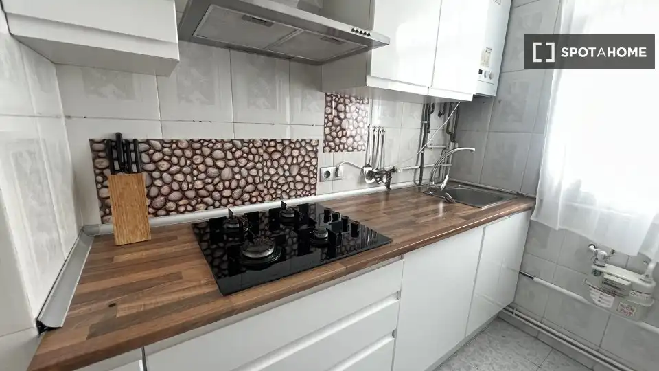 Kitchen of Flat for rent in Madrid  with Air Conditioner, Heating and Furnished
