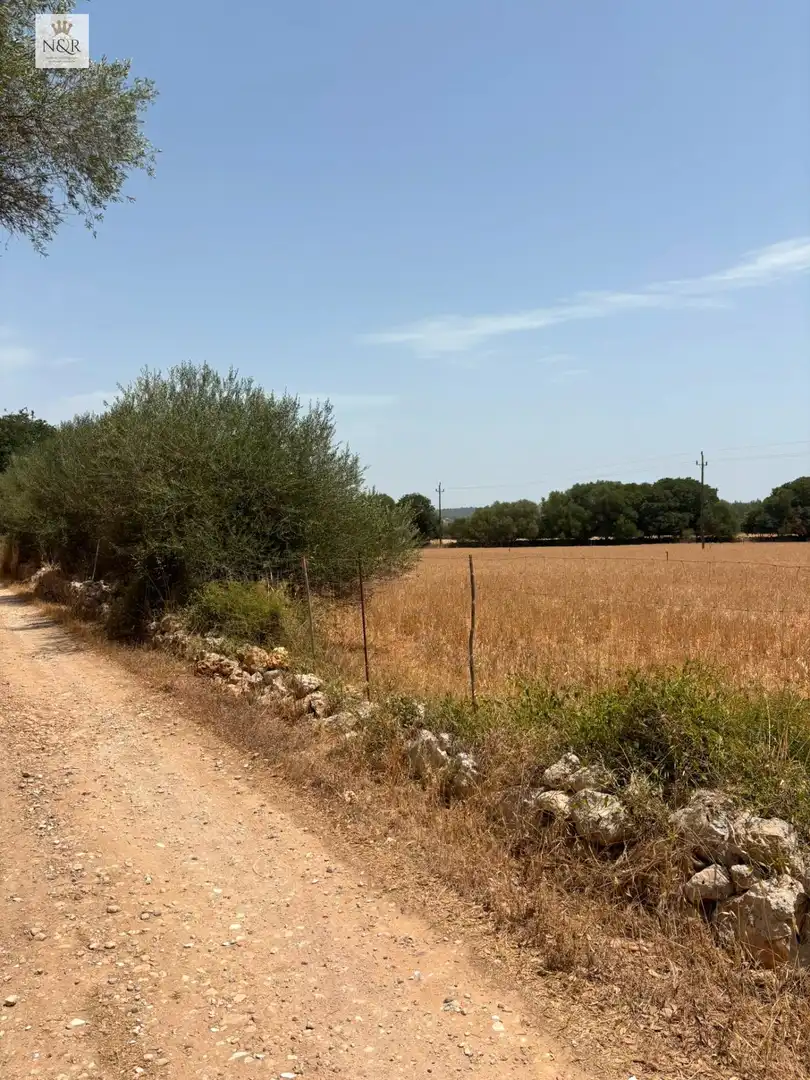 Finca rústica en venta en Sencelles