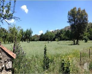 Finca rústica en venda a Valencia de Alcántara