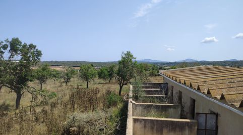 Lote de 2 fincas rústicas para construir 2 viviendas unifamiliares, immagine 3