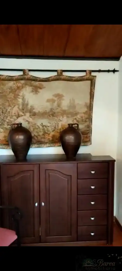 Sala d'estar de Casa o xalet en venda en Rute