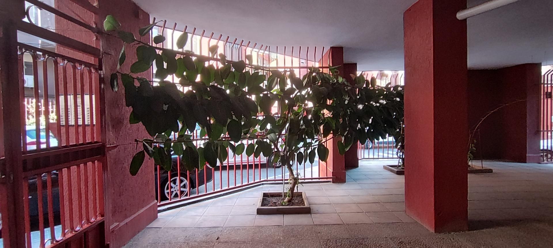 Pis en venda en Alicante / Alacant amb Jardí privat i Terrassa
