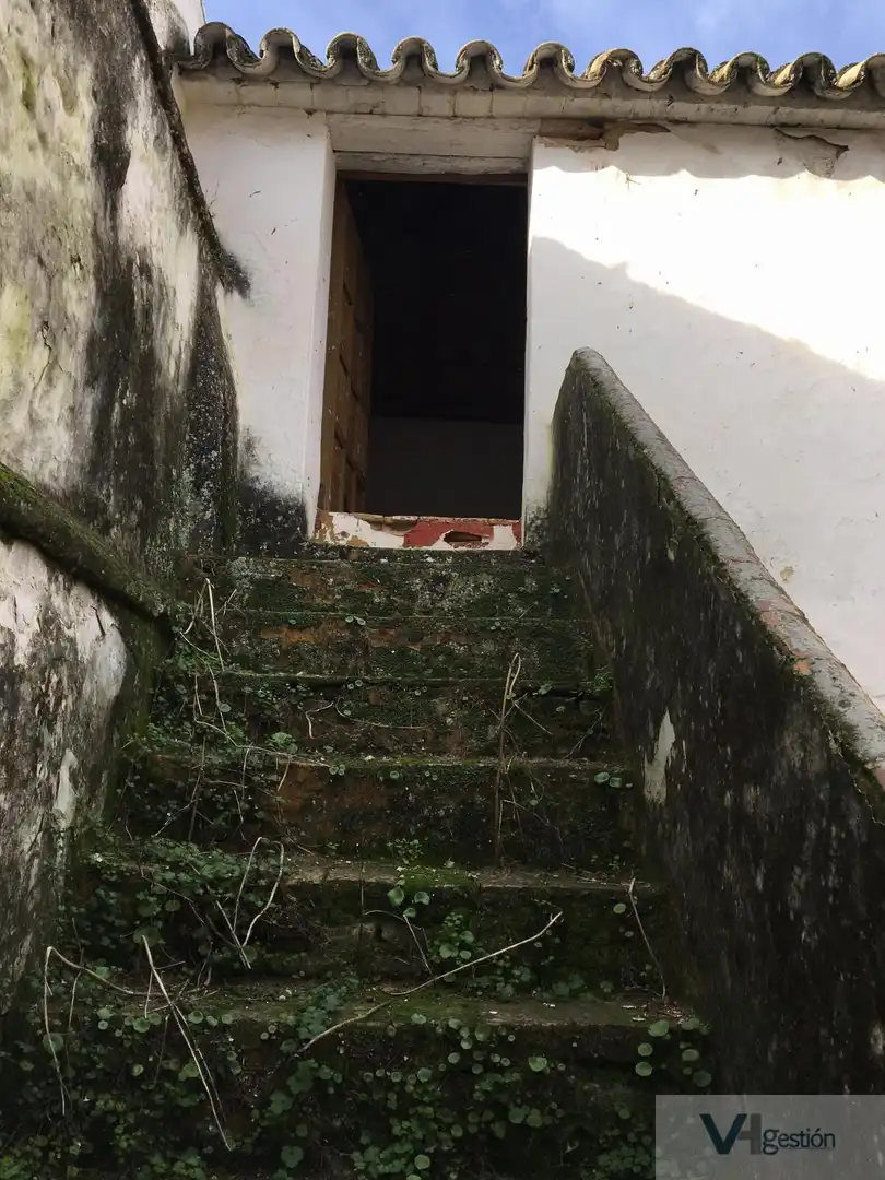 House for sale in Bornos, imagen 12