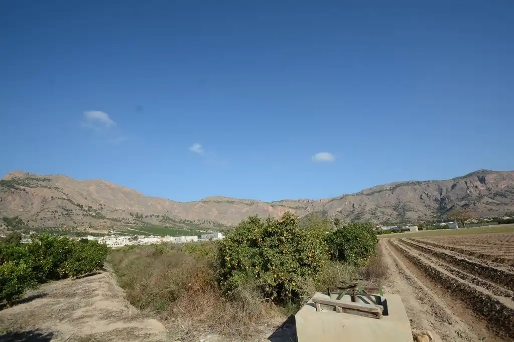 Terreno rústico en venta en Montepinar - La Aparecida - Raiguero, imagen 9
