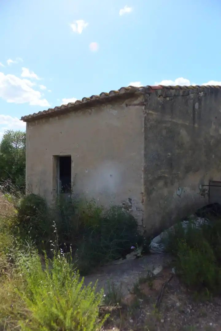 Terreno rústico en venta en Riudoms, imagen 9