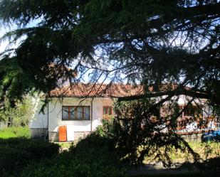 Jardí de Casa o xalet en venda en Gijón 