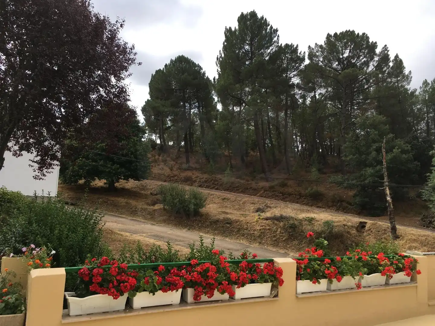 Jardí de Finca rústica en venda en Magaz de Cepeda amb Calefacció i Terrassa