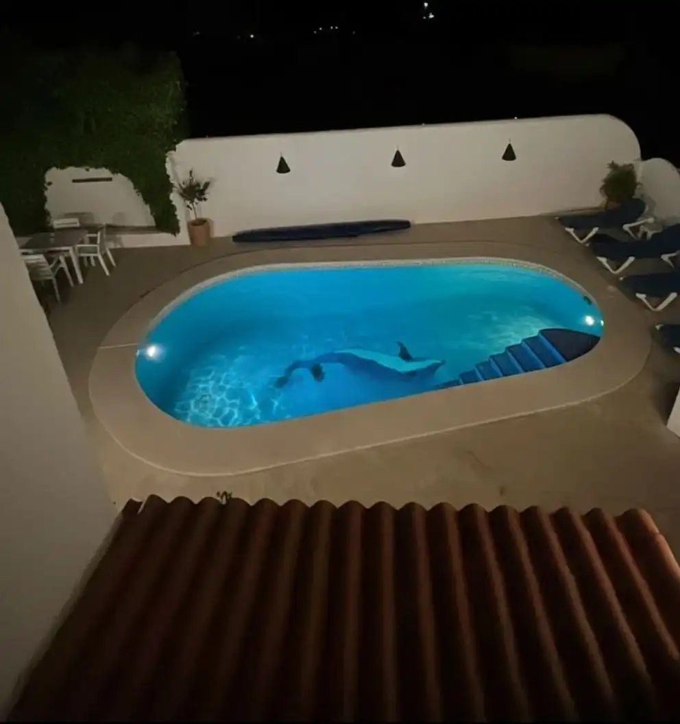Villa mit Pool zum Verkauf in Zona Pueblo, imagen 19
