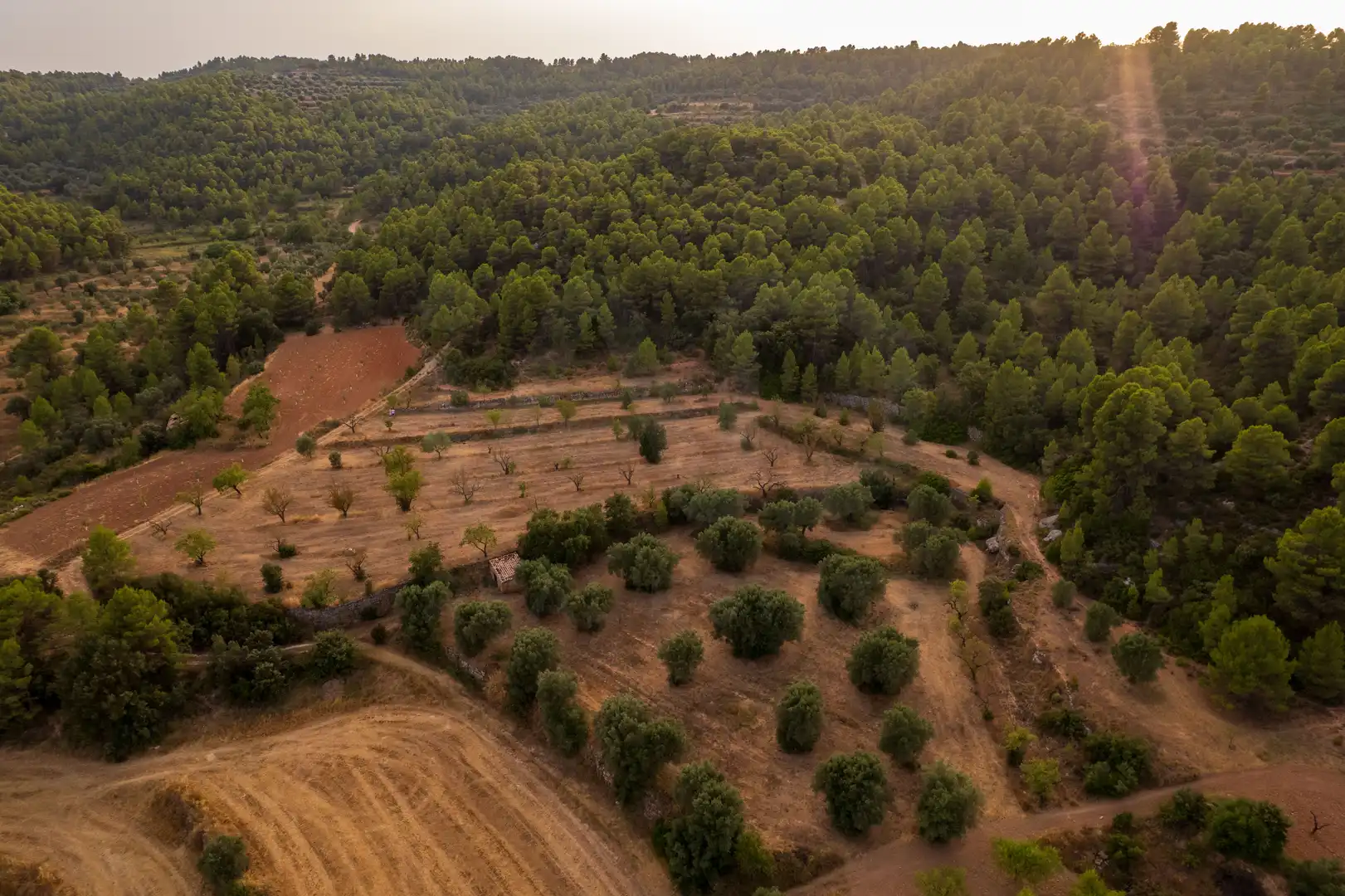 Rural land for sale in Lledó, imagen 13