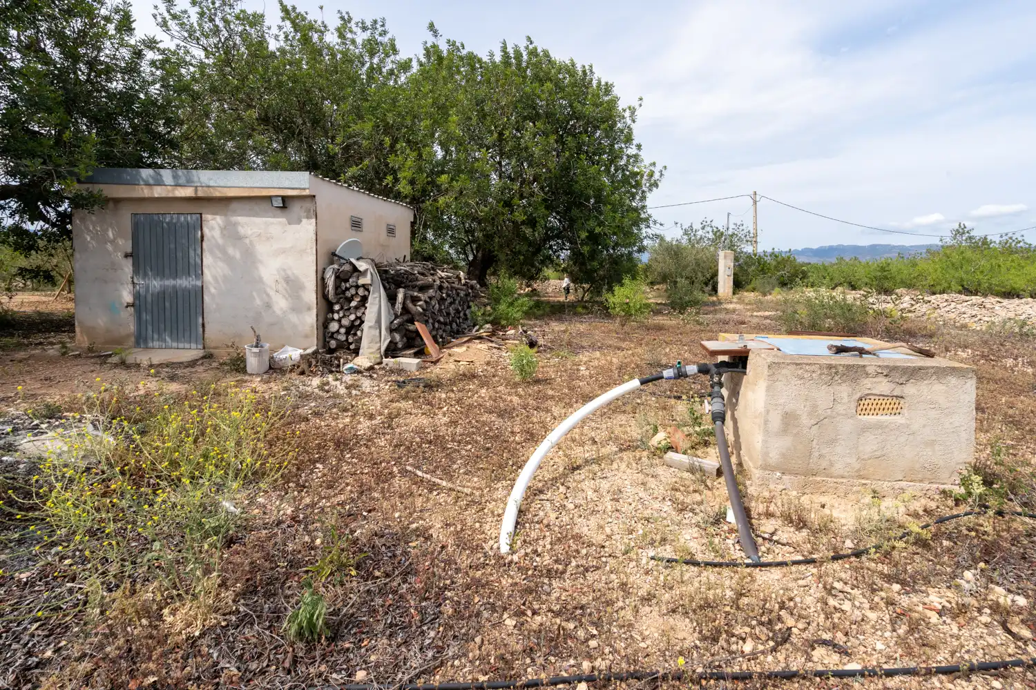 Rural land for sale in Camí Sant Francesc 10, imagen 21