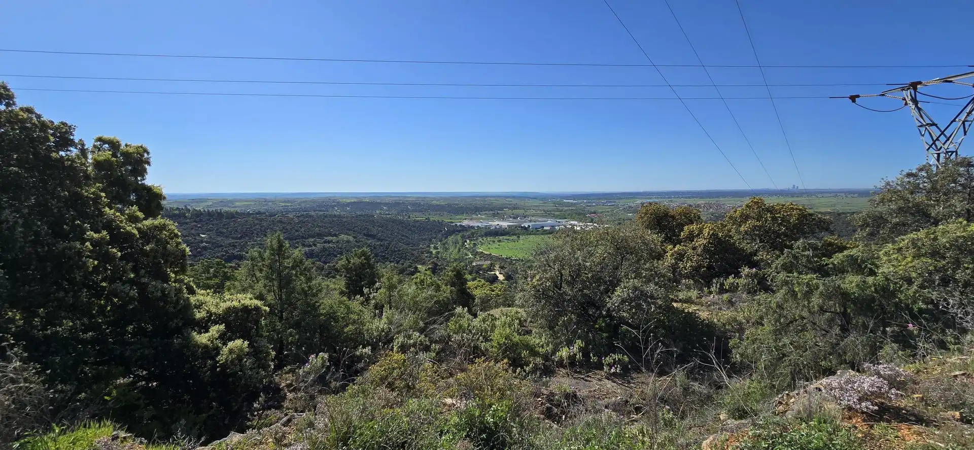 Terrenys i solars en venda a San Agustín del Guadalix pueblo, imagen 14
