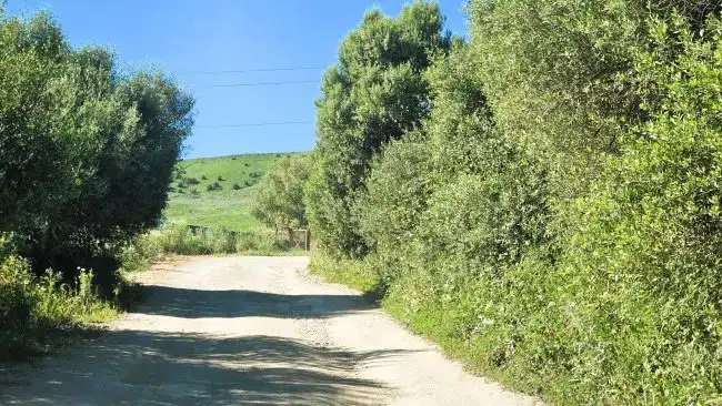 Country house for sale in Jimena de la Frontera, imagen 28