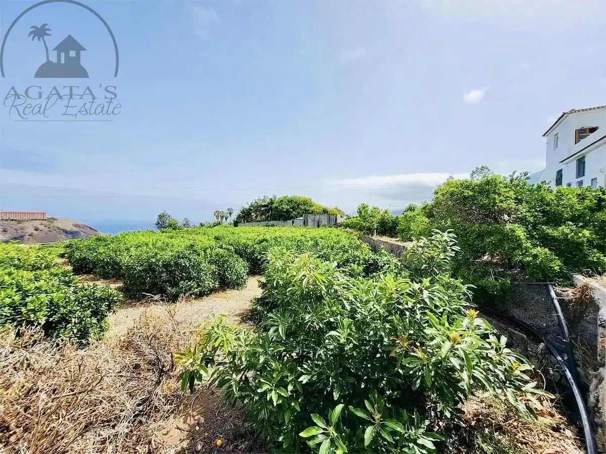 Finca rústica en venta en La Orotava con Jardín privado y Terraza