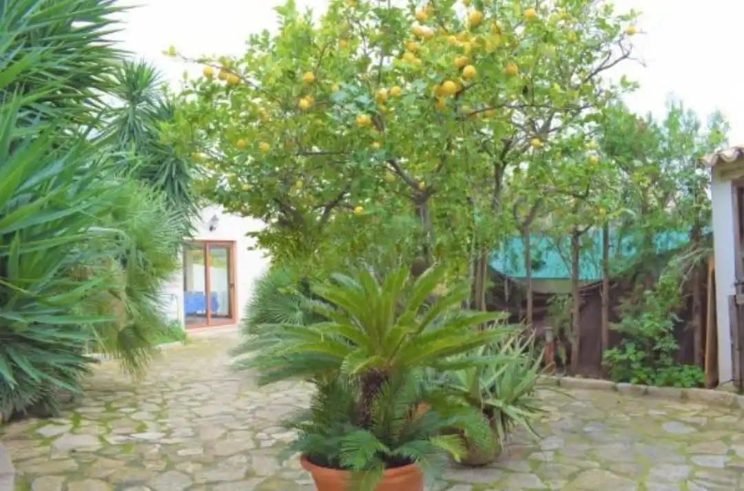 Casa amb piscina en venda a LA FONT, imagen 18