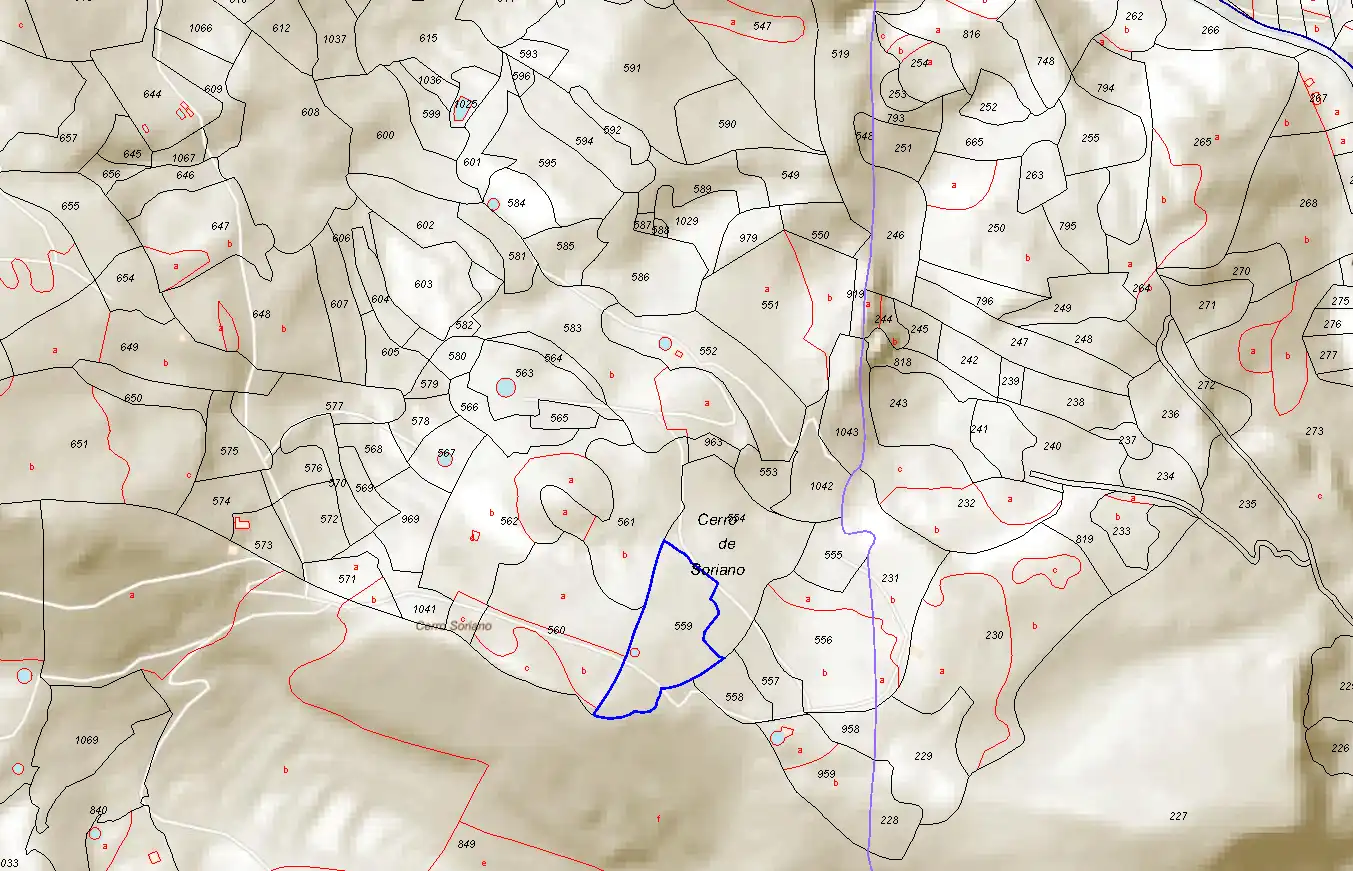 Terrain rustique à vendre à El Pinar, imagen 4