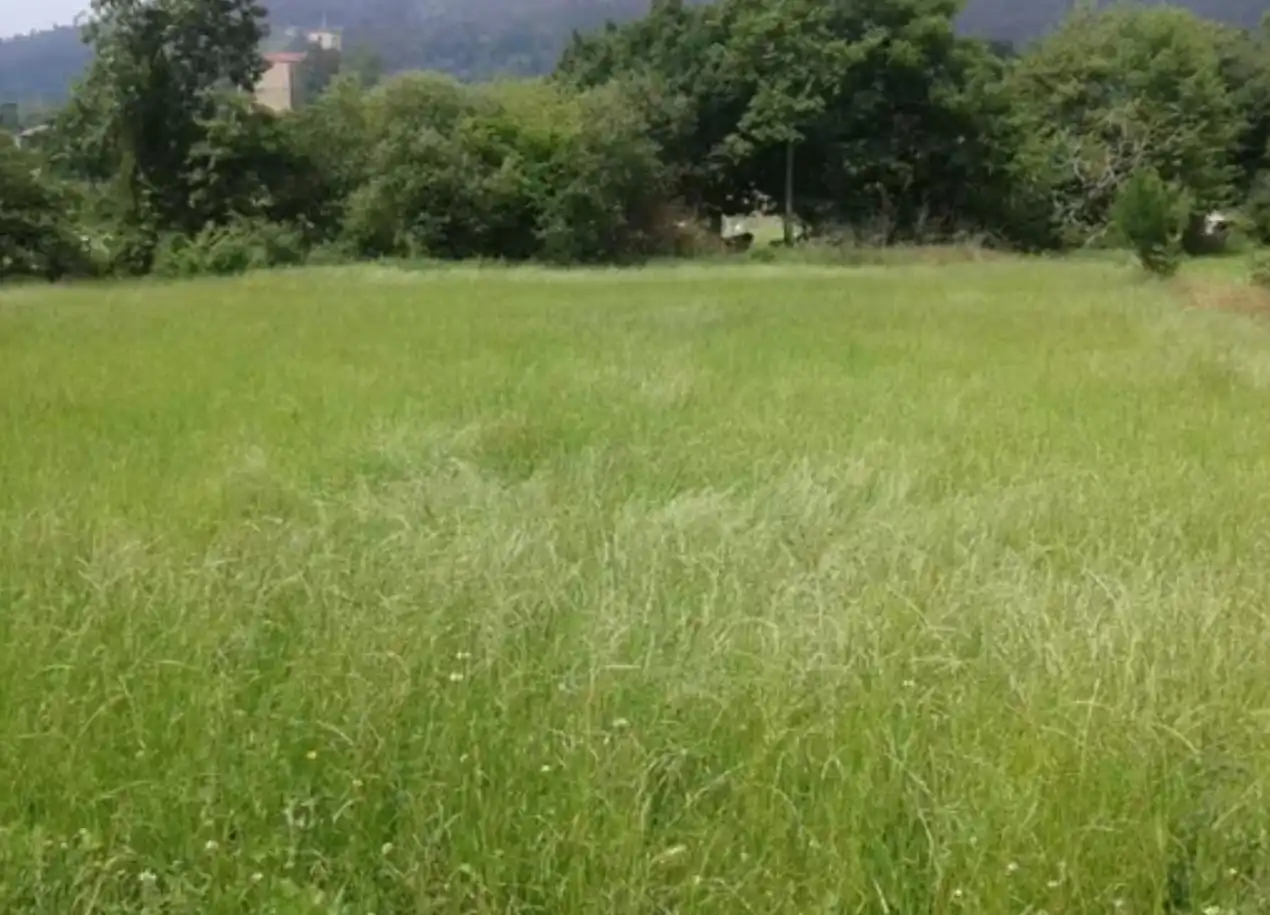 Terreni e lotti in vendita a Barrio Villaparte