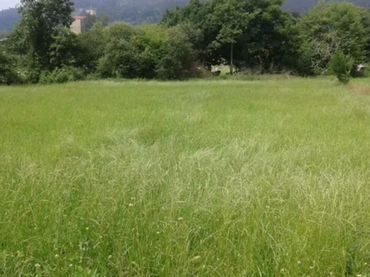 Terreni e lotti in vendita a Barrio Villaparte