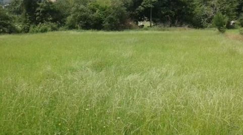 VENTA TERRENO EN RASINES  CANTABRIA