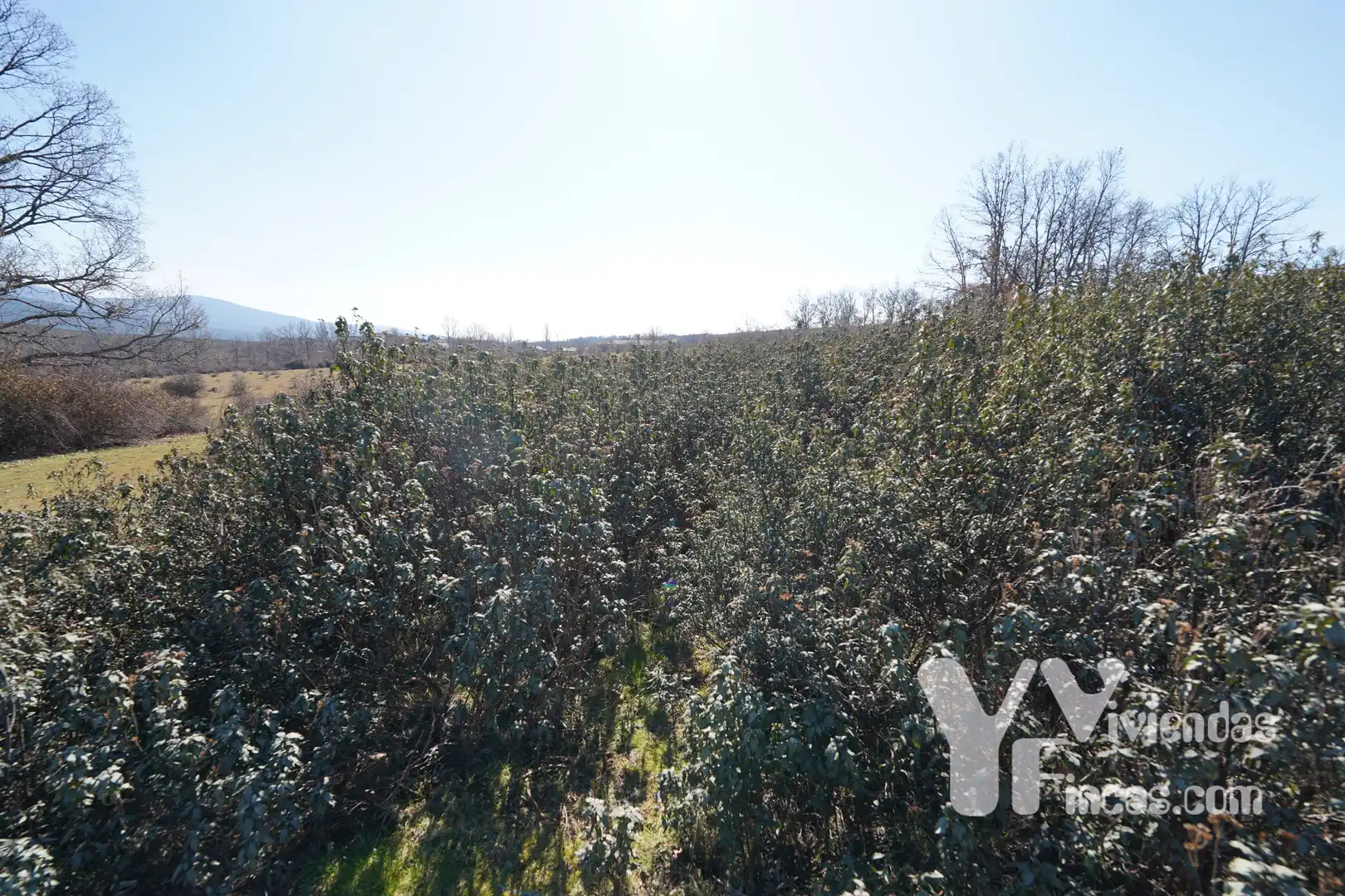 Terreno rústico en venta en Campillo de Ranas, imagen 23