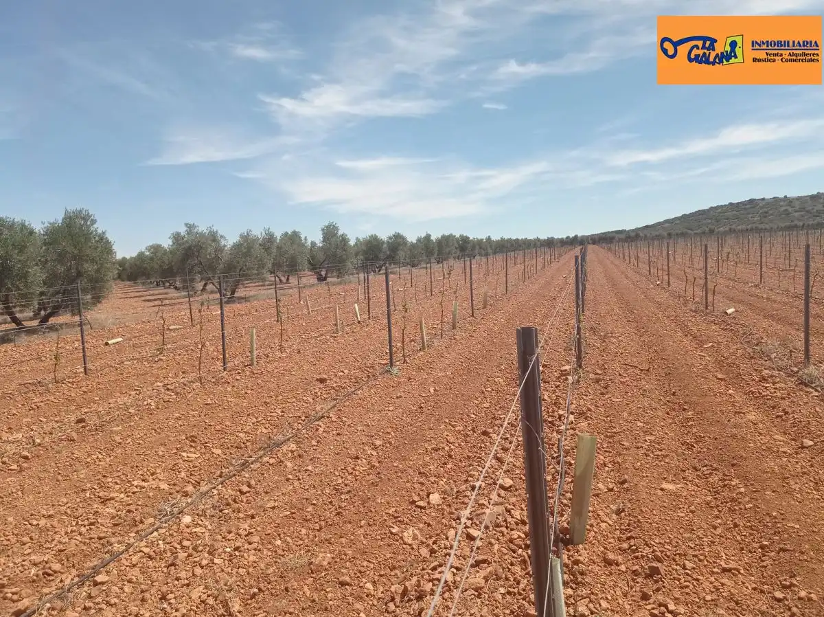 Finca rústica en venda en Torrenueva